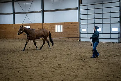 Horse Trainers